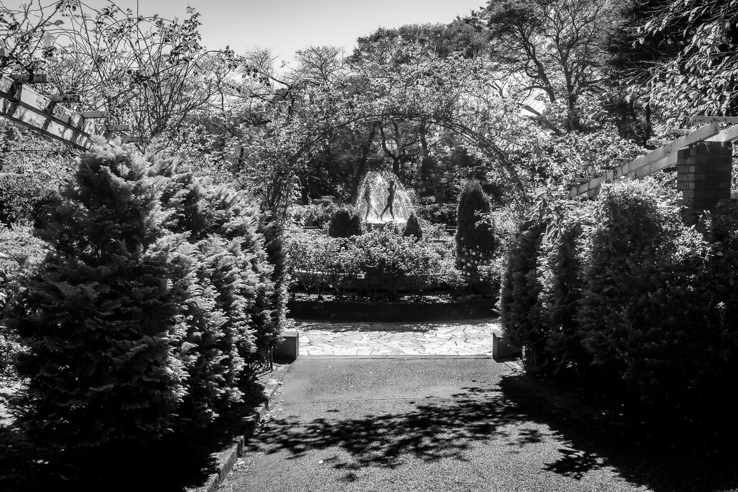 里見公園 ー 千葉県の撮影スポット