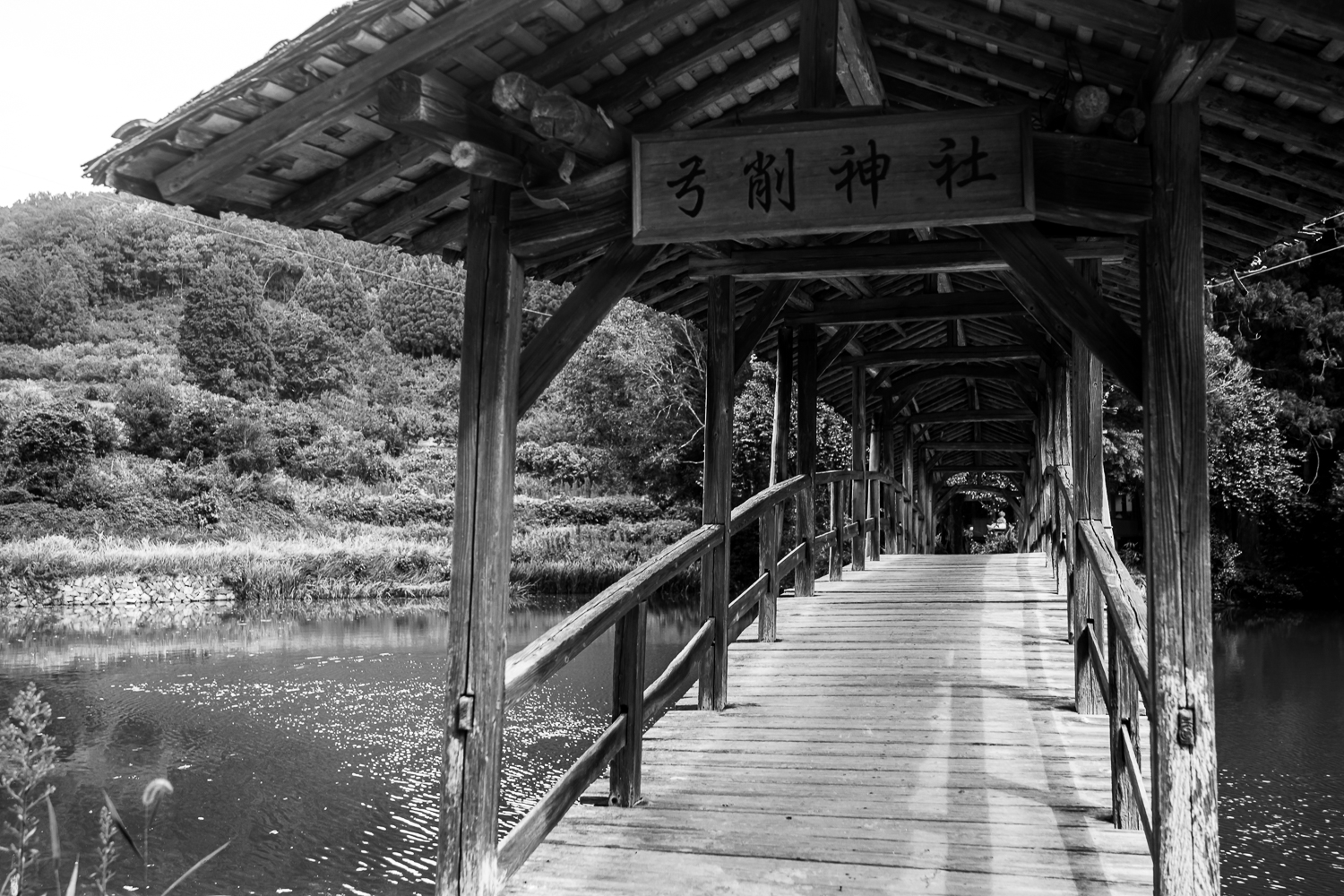 弓削神社 ー 愛媛県の撮影スポット