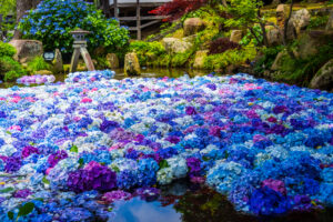 雨引観音