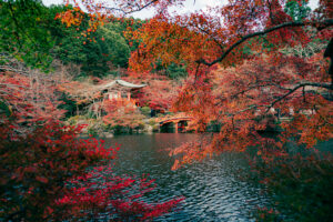 醍醐寺