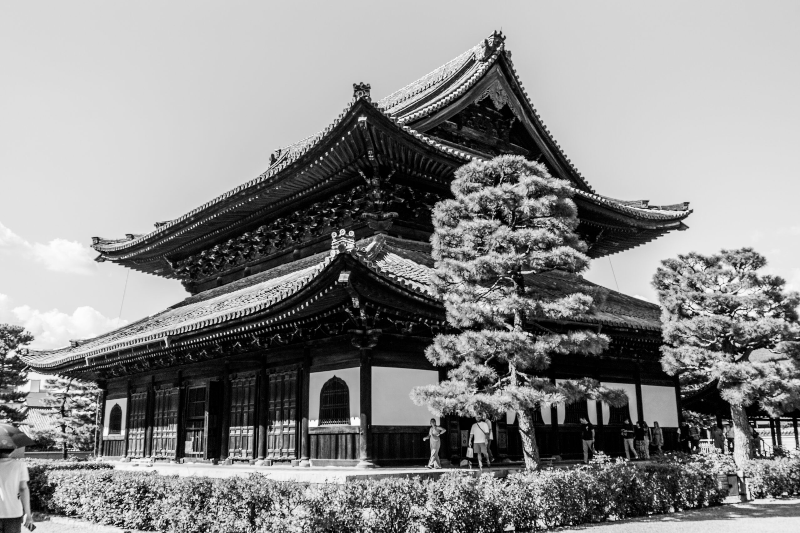 建仁寺 ー 京都府の撮影スポット