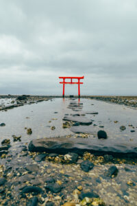 大魚神社 海中鳥居