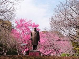 北の丸公園