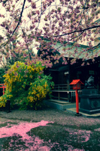 藏前神社