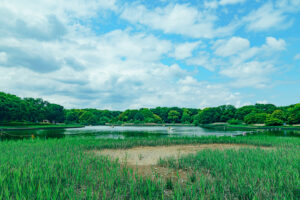 国営昭和記念公園