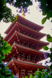 高幡不動尊金剛寺 