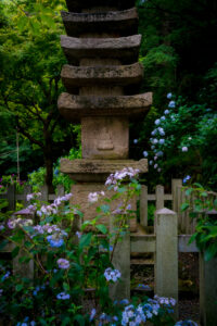 高幡不動尊金剛寺 